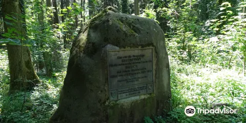 Burgstall Gegenpoint