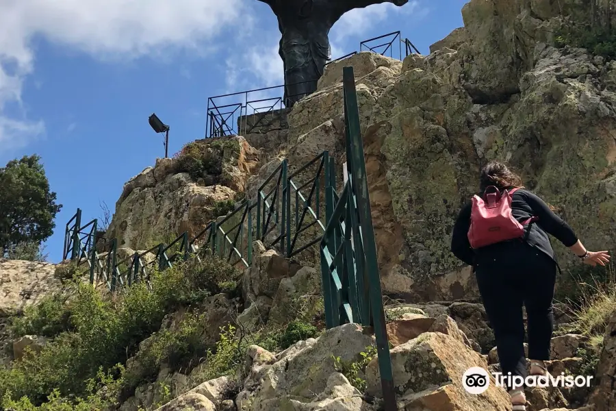 Cristo Il Signore della Montagna