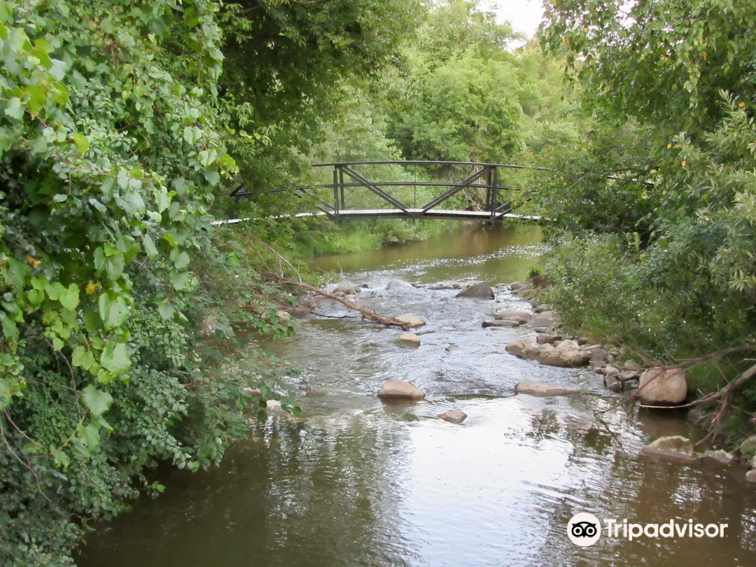 1_Cobourg Conservation Area