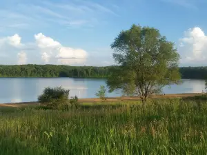 Fort Custer Recreation Area