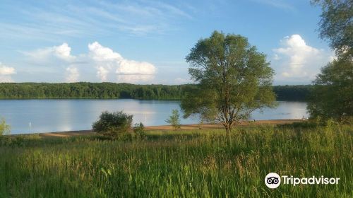 Fort Custer Recreation Area