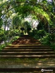 The Foxglove & Co Gardens
