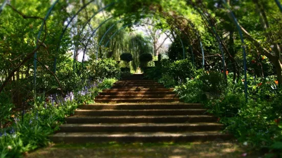 The Foxglove & Co Gardens