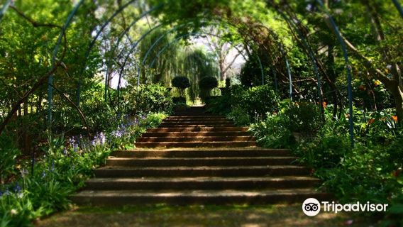 The Foxglove & Co Gardens