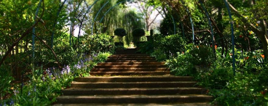 The Foxglove & Co Gardens