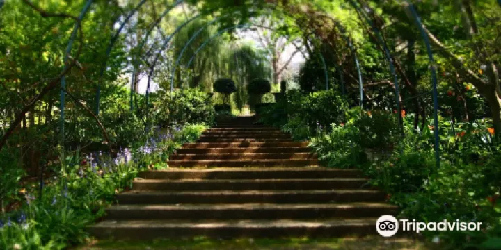 Foxglove Spires Open Garden