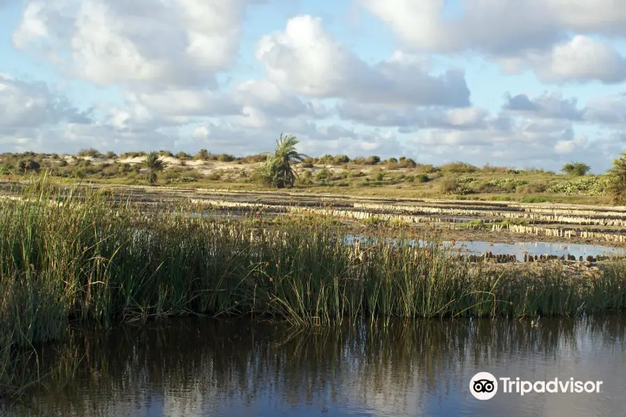 Honko Community-Based Mangrove Reserve