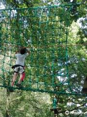 L'étape en forêt