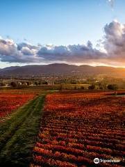 Azienda Agraria Perticaia