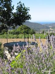 Maison des Vins de Bandol