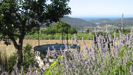 Maison des Vins de Bandol