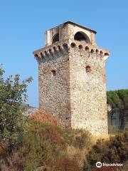 Torre Saracena