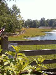 Lake Metroparks Farmpark