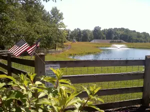 Lake Metroparks Farmpark