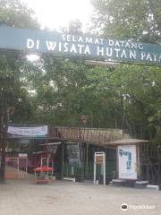 Hutan Payau