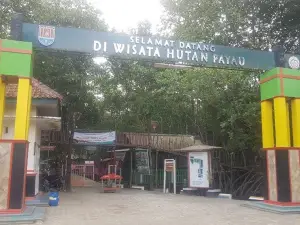 Hutan Payau