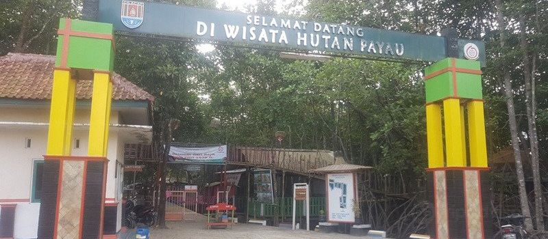 Hutan Payau