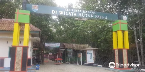 Hutan Payau