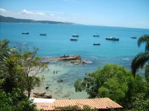 Praia da Tainha