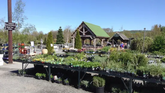 Derwen Garden Centre