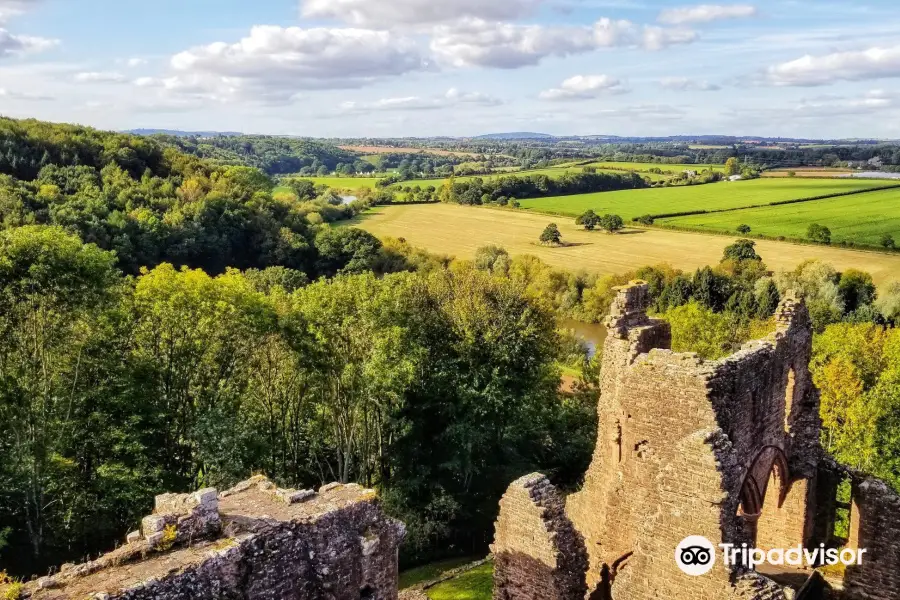 Goodrich Castle