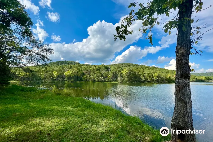 Lake Leatherwood