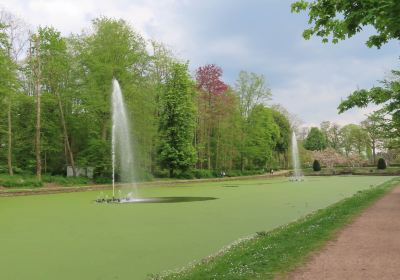 Parc de la Dodaine