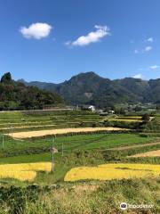 Tochimata Tanada Rice Terrace