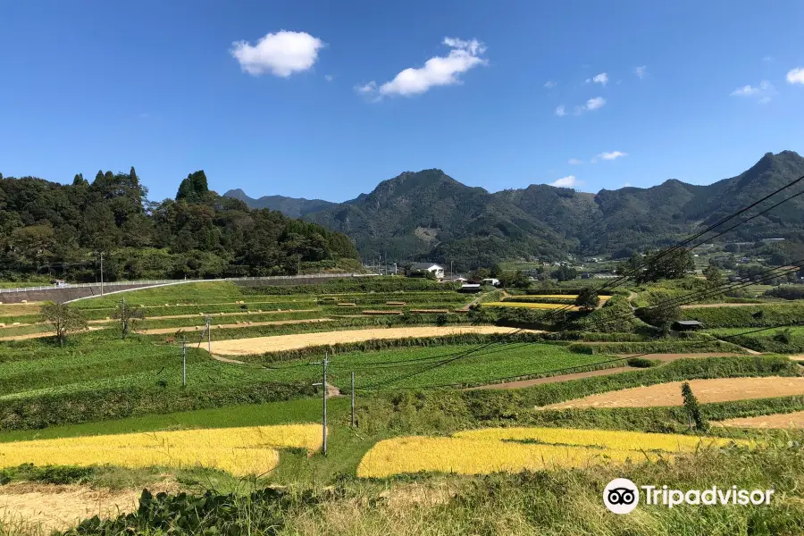 Tochimata Tanada Rice Terrace