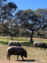 Sierra de Cardeña y Montoro Natural Park