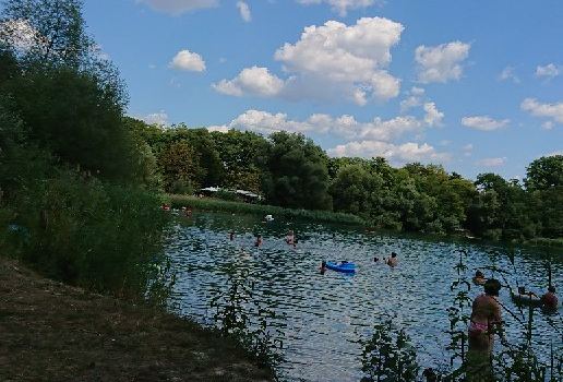 Waldsee