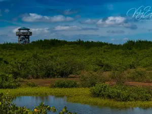 Manatee Viewing Center