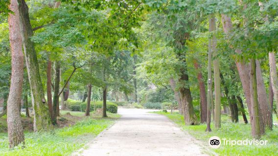 Manriki Park (Manyo no Mori)