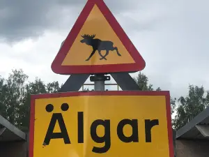 Laganland Älgpark