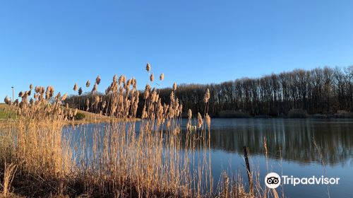 Laurel Acres Park