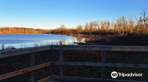 Westminster Ponds/Pond Mills Conservation Area