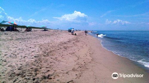 Race Point Beach