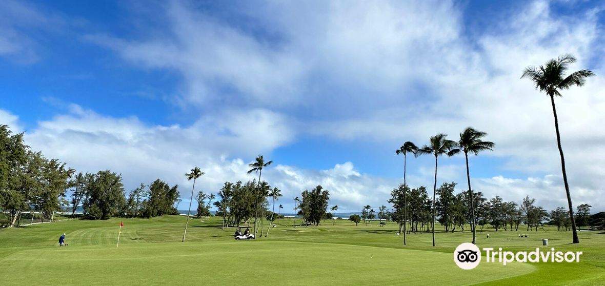 Things to Do in WaiheeWaiehu in 2024 Top Attractions, Local Food