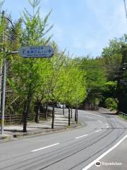 Takase Stone Buddhas