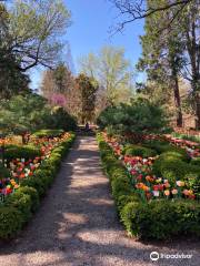 Bartlett Arboretum