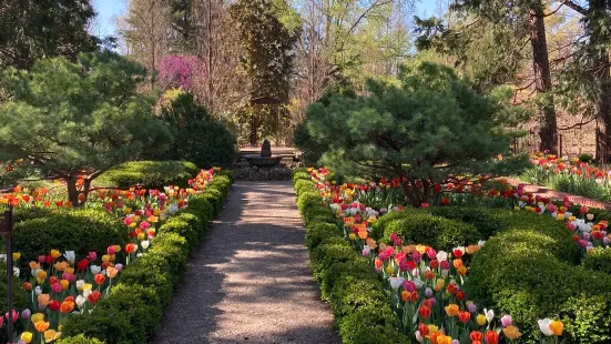 Bartlett Arboretum