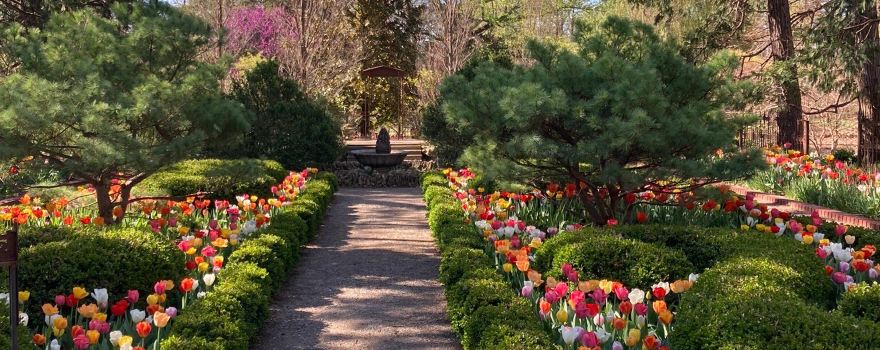 Bartlett Arboretum