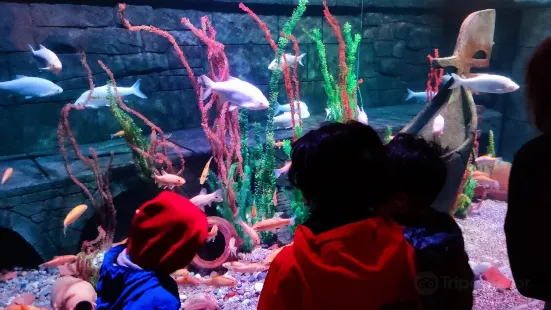 Gardaland SEA LIFE Aquarium