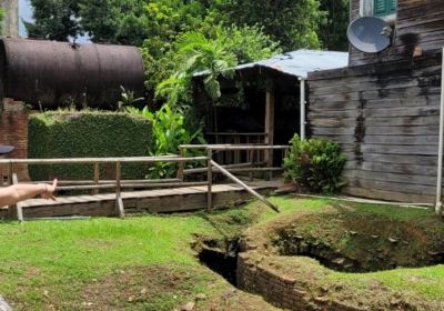 Caguas Botanical Garden "William Miranda Marin"