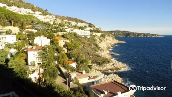 Nice + Eze + Old Town + Cap de Nice + Cannes Old Port one-day tour[Chartered private charter]