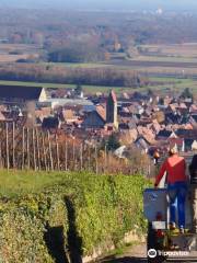 Maison Léon Baur Eguisheim - Vins d'Alsace -