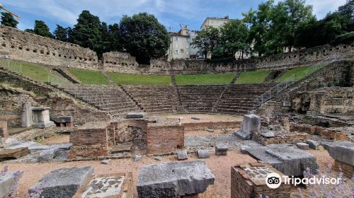 Roman Theatre of Trieste