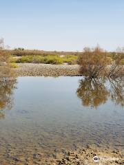 Al Wathba Wetland Reserve