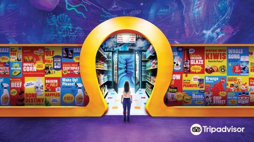 Meow Wolf's Omega Mart