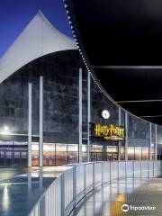 Harry Potter und das verwunschene Kind